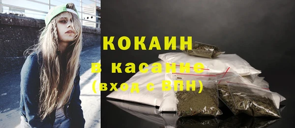 сатива Лабытнанги