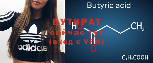 сатива Лабытнанги