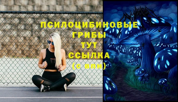 экстази Ладушкин