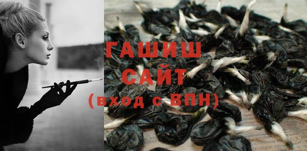сатива Лабытнанги