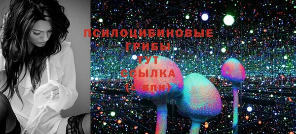 сатива Лабытнанги