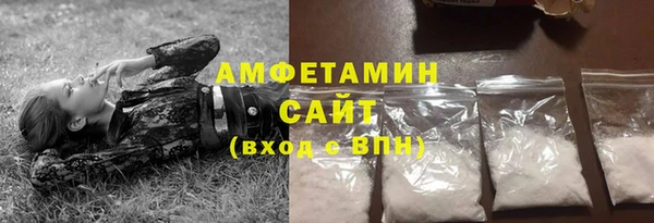сатива Лабытнанги