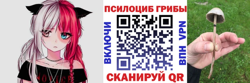 где можно купить   kraken рабочий сайт  Псилоцибиновые грибы Magic Shrooms  Новоалександровск 