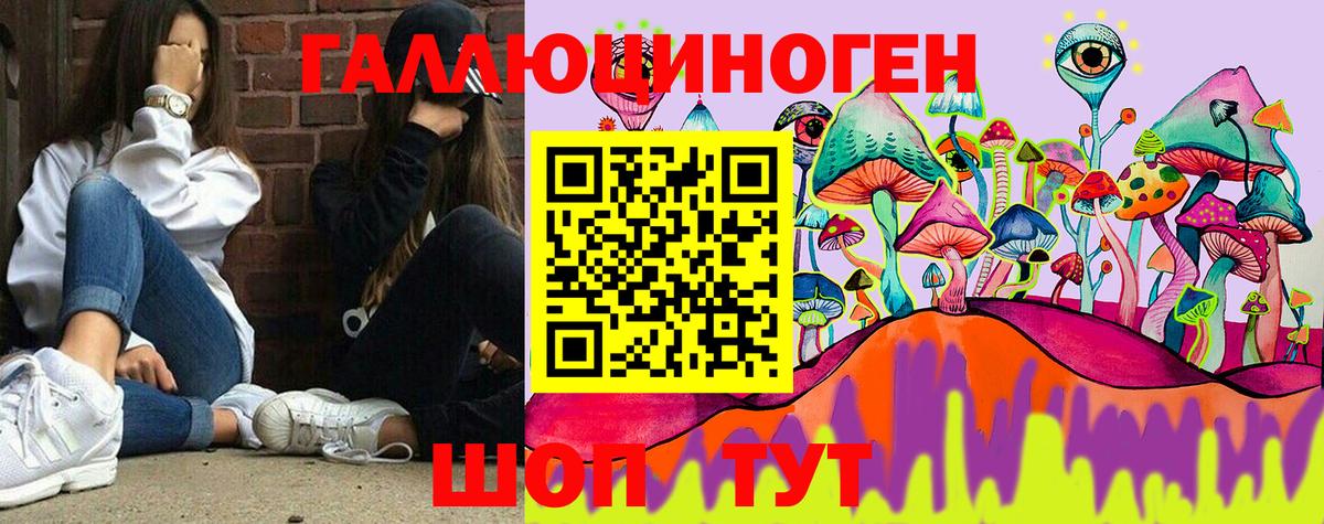 Галлюциногенные грибы мухоморы Новоалександровск