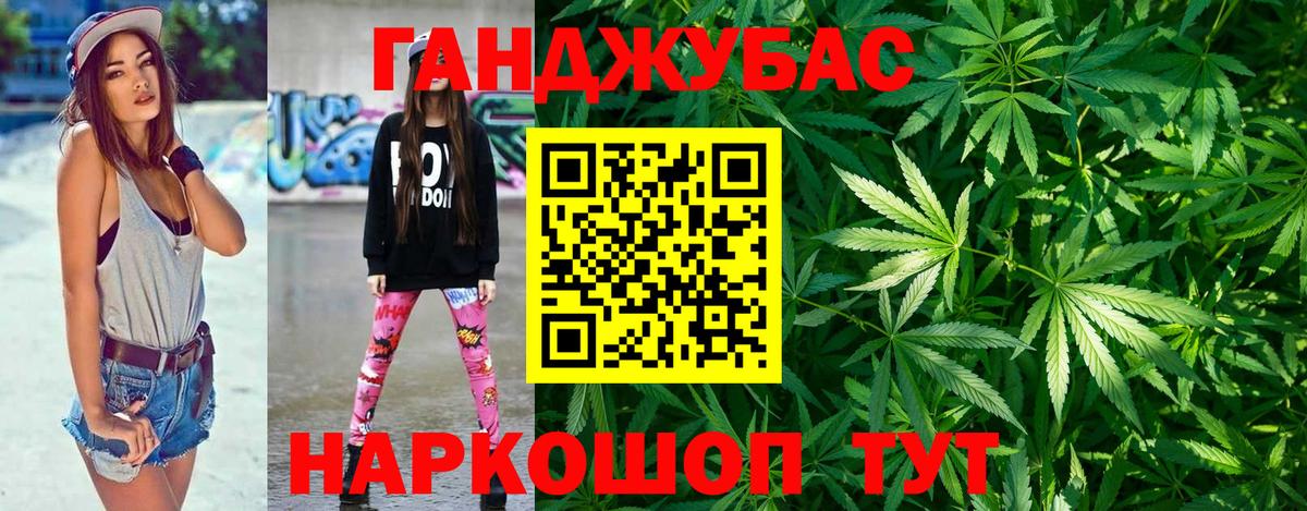 Канабис сатива Новоалександровск